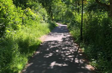 Apartment-47 Fulda - Photo 76