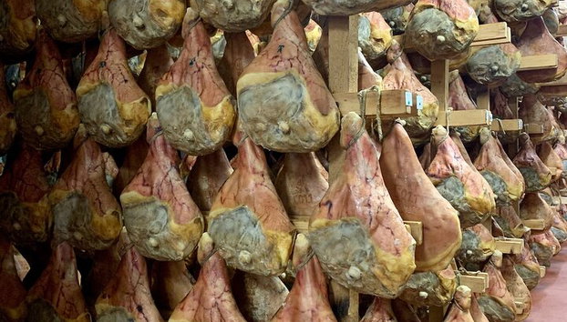 Food Valley : Excursión de un día a Parmesano, Prosciutto, Balsámico,Vino,Ferrari - Foto 3