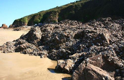 Domaine de Keravel - Foto 59