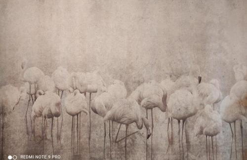 Apartament na Wzgórzu Zielony - Foto 29