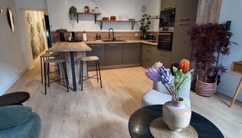 Dijon Hypercentre - Loge de la chouette - Foto 5, stove