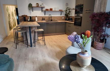 Dijon Hypercentre - Loge de la chouette - Foto 5