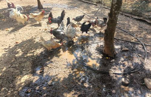 Villa María, más que pernoctar - Foto 29