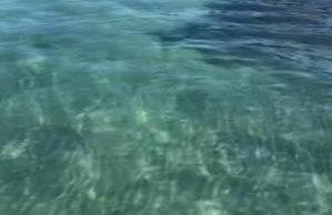 Apto verdes mares - Foto 6