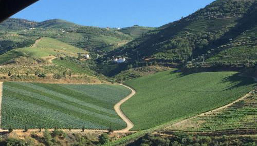 Casa Da Trigueira - Foto 3