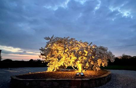 THE HAYLOFT CHESHIRE - Photo 20