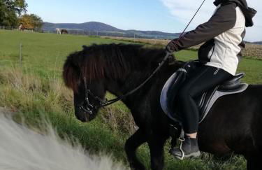Ponyhof Adam Urlaub auf dem Bauernhof - Foto 39