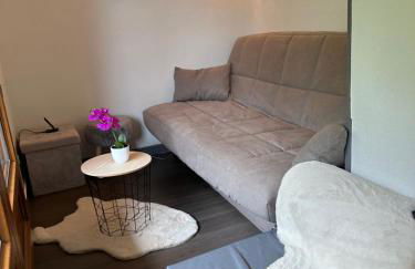 Appartement confortable Abondance centre-ville - Photo 19