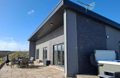 Red Squirrel - Photo 2