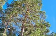 Dom Derbend na wyłączność - Foto 12