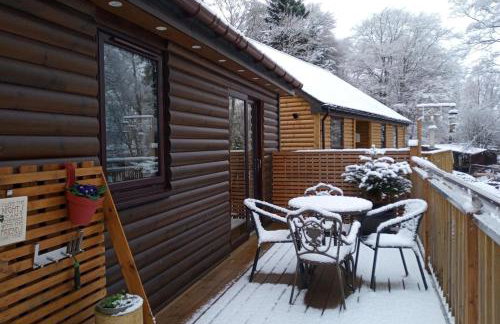 2 Bed Cottage Sleeps 4 -private Garden -pets Okay - Foto 15