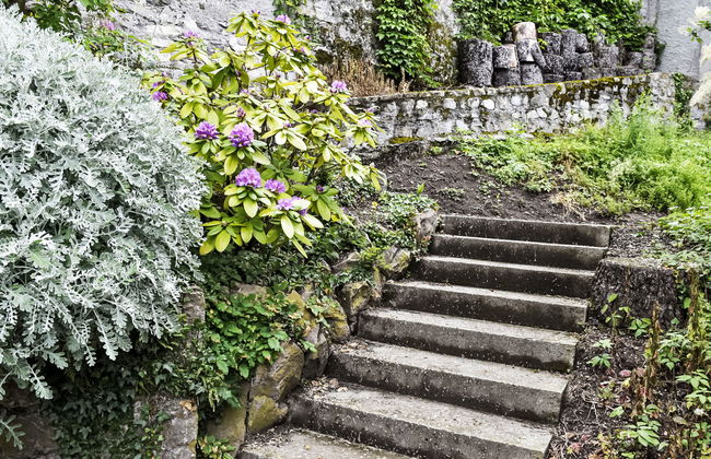 Duck House - Foto 33