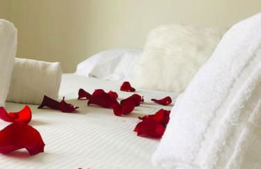 Les Murmures des Toits - Hypercentre - garage privé - Foto 10