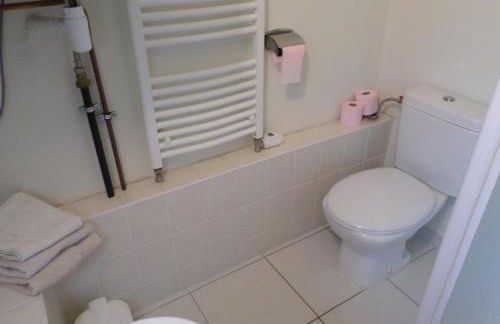 Studio-appartement et chambre à proximité d'une maison de Maître de 1904 - Photo 14