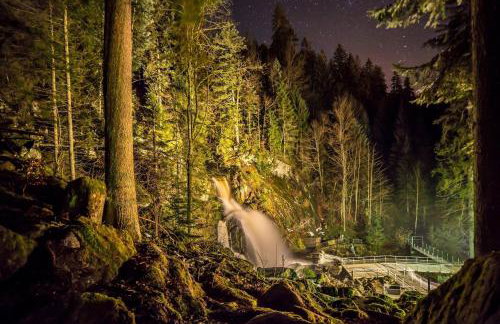 Ferienhaus Am Rösslewald - Photo 16