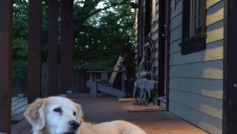 Placid Moose Loj N - Foto 5