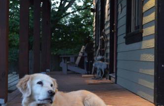 Placid Moose Loj N - Foto 5