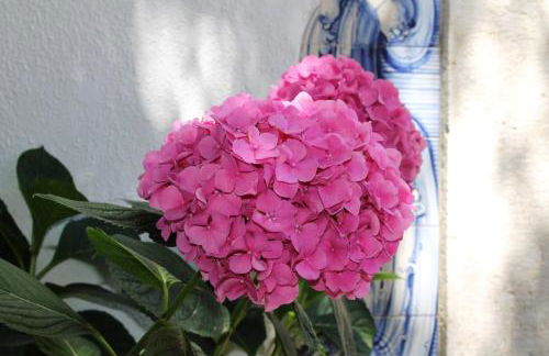 Quinta do Casal de Santo António - Foto 8