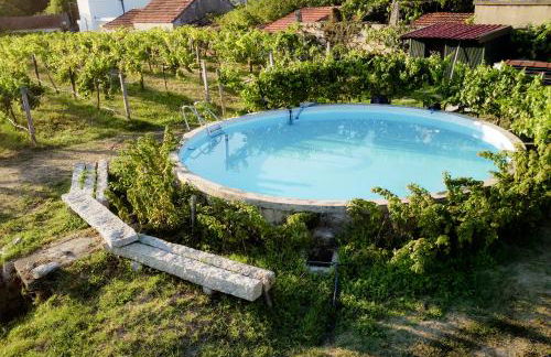 Quinta De Vila Nova - Agroturismo - Foto 42