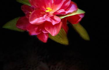 Apartamento Beatriz - Foto 30