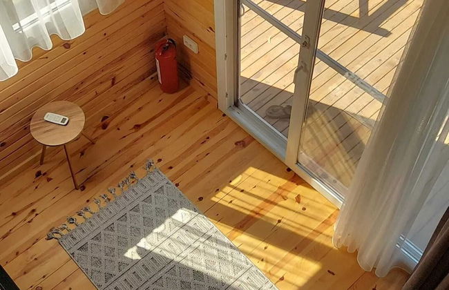 Sole Foca ( Ages 12+ ) - Foto 24