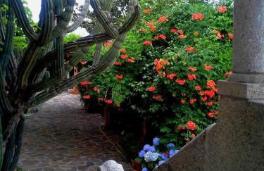 Casa do Faial - Braga - Foto 9