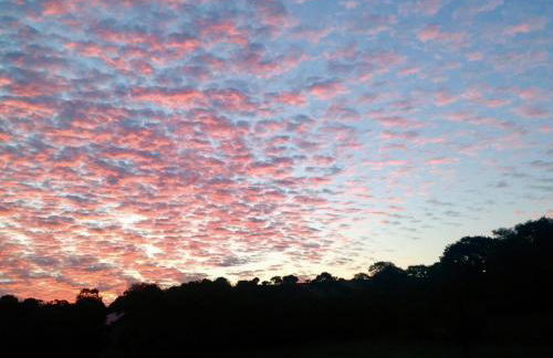 Molehill lodge - Foto 31