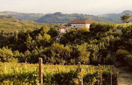 Madama Langa Country House con piscina nelle vigne - Foto 14