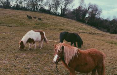 La Fuentona de Santillana - Foto 37