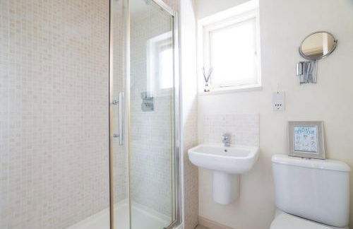 Snow Goose - Foto 32