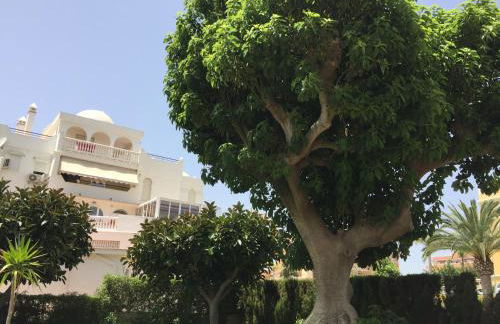 Apartamento frente al mar - Foto 43