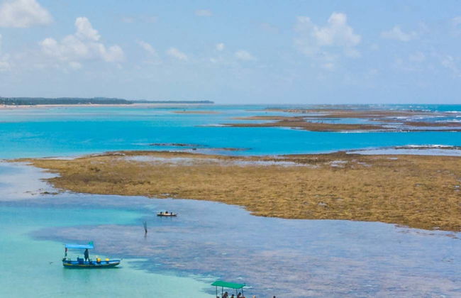 Excursión a São Miguel dos Milagres - Foto 1