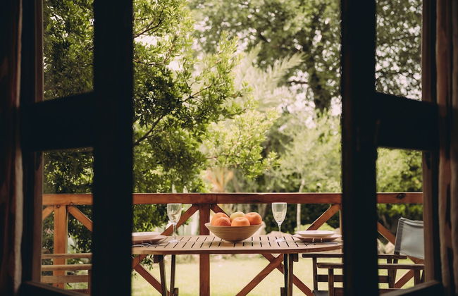 Trikalioti's Lush Estate Apt Arethousa - Photo 13