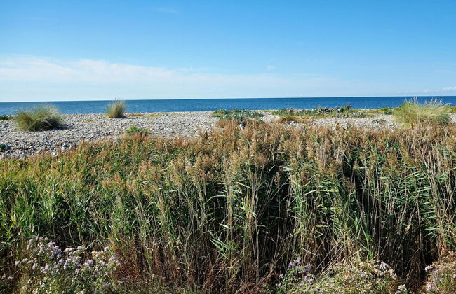 Feldblick-wohnung in der Nhhe der Ostsee - Foto 37