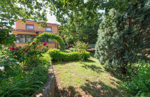 Apartman Karmen - Foto 3