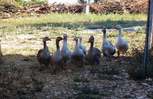 Apartment Hrboki Iii - Photo 12