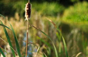 The Retreat, Clematis cottages, Stamford - Foto 35