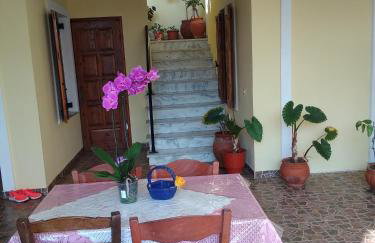 Summer Dream - Foto 17