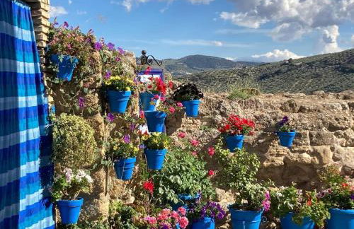 Dehesilla Olive Orchard Retreat - Foto 71