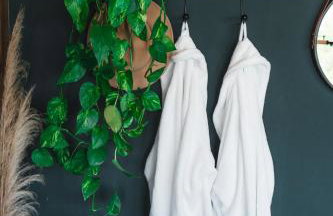 Top Cabana Romântica Serra Catarinense - Anitápolis SC - Photo 22