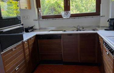 Haus Boom in Dreieich, sehr ruhig gelegen, Nähe Frankfurt City und Messe, Frankfurt Flughafen, Golf Club - Foto 23