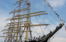 AB Musiol - Photo 27