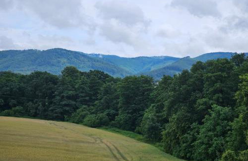 Złota Widokówka - Foto 57