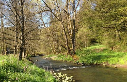 Fewo Vulkaneifel - Foto 29