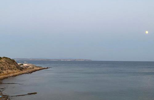 Terry Studio - Foto 47