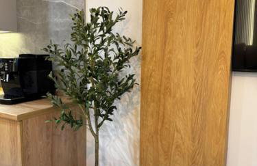 Family & Business Apartments PREMIUM No1 - 1 Bedroom with Private Jacuzzi, Balcony, Parking - Photo 41