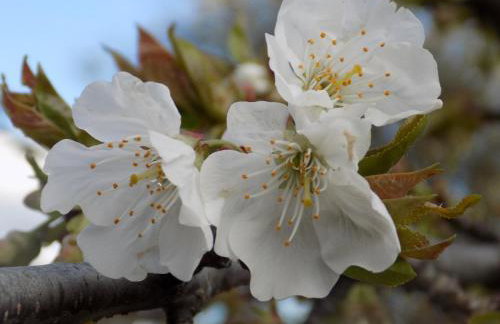Casa Rural Generoso - Foto 74