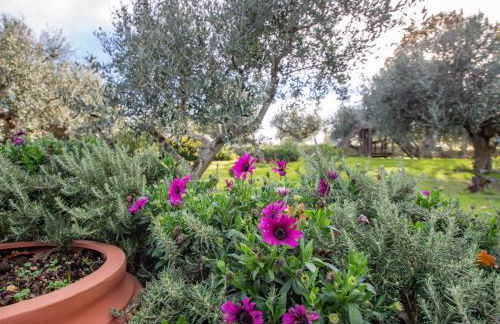 Holiday Home Casale Vincenzo by Interhome - Foto 32