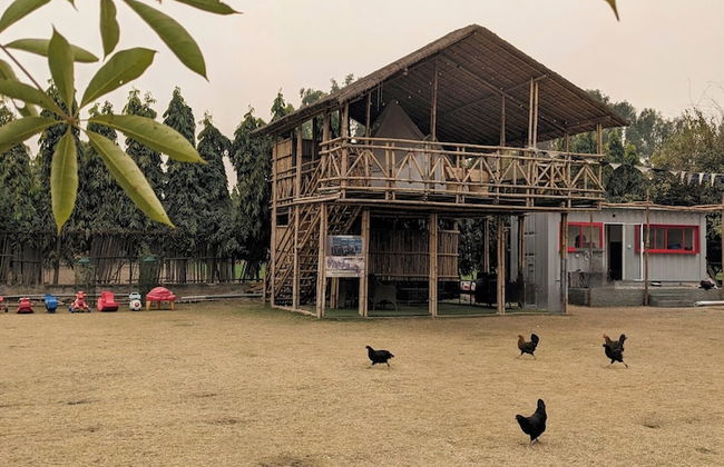 Tuk Tuk Gilhari Noida - Foto 5