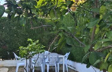 Casa Buganvilla - Foto 39